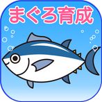 Tuna breeding