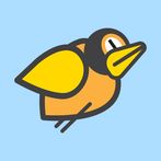 Flap Shoot Birdie, Tap to Fly,