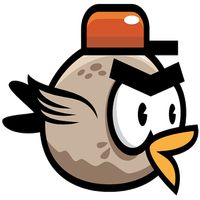 ANGRY FLY BIRD