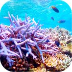 Blue for life：Pick up garbage