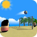 Volley Beach