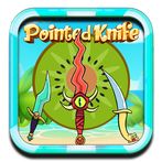Pointed Knife