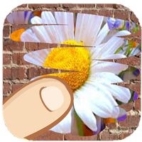 Flores, cuál se esconde