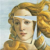 Jigsaw Deluxe - Puzzle Game