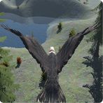 eagle run