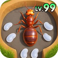 Ant Kingdom: Survival War