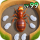 Ant Kingdom: Survival War