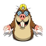 Mole Crusher