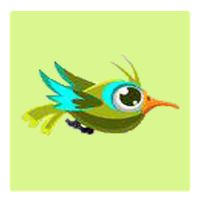 Crazy Birds