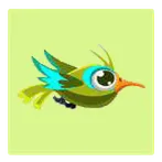 Crazy Birds