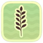 Topsoil