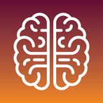 Logic game for adults, puzzles