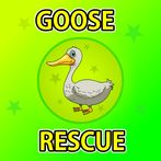 Goose Rescue From Cage