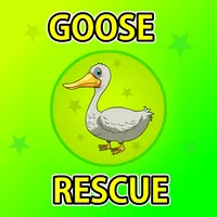 Goose Rescue From Cage