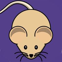 Cat Alone Toy - Fun Games for