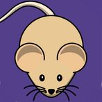 Cat Alone Toy - Fun Games for 