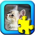 Cats - Jigsaw Puzzles