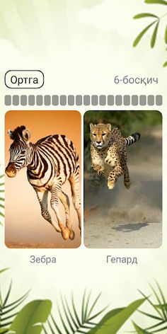 Bilimdon IQ - Screenshot 1