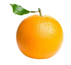 Learn With Fun - Screenshot 3