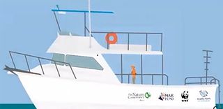 Find the Whales: Español - Screenshot 2