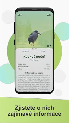 Ptactvo Vrbenských rybníků - Screenshot 3