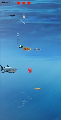Marine Debris : Rescue - Screenshot 2