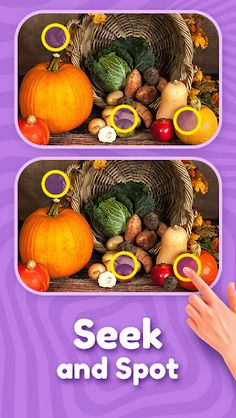 Find the Differences Game - Screenshot 2