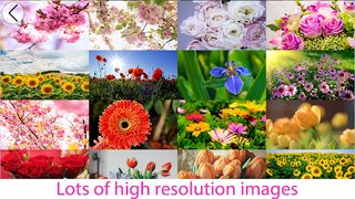 Jigsaw Puzzle - Screenshot 2