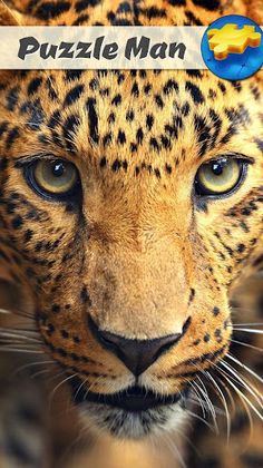 Jigsaw Puzzle Game - Screenshot 1