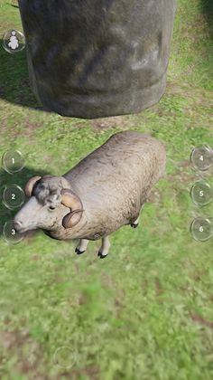 Virtual Pet Merino Sheep 2 - Screenshot 4