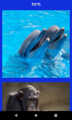 לומדים בכיף אנגלית עם יניר - Screenshot 2