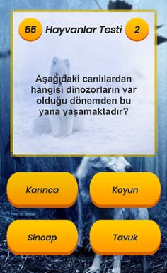 Hayvanlar Testi - Screenshot 3