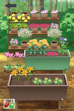 Flower collection - Screenshot 1