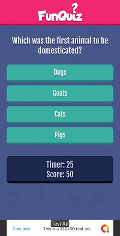 Fun Quiz - Screenshot 2