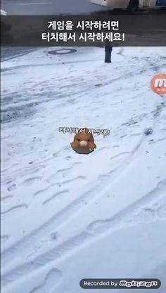 AR Mole - ARCore - Screenshot 1