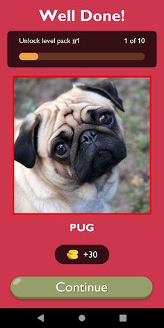 Guess The Dog Breed Game - Screenshot 2