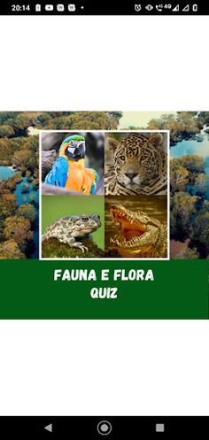 QUIZ FAUNA E FLORA - Screenshot 1