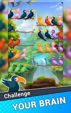 Bird Sort Puzzle - Screenshot 1