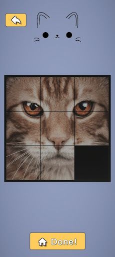 Cat puzzle - Screenshot 2