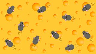 Mouse Catcher - Screenshot 2