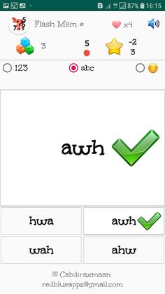 Flash mem # - Screenshot 1