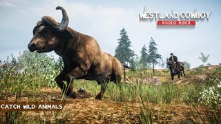 Westland Cowboy: Rodeo Rider - Screenshot 3