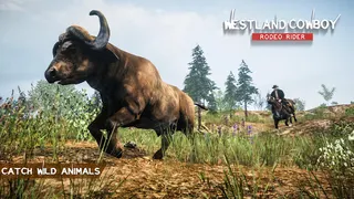 Westland Cowboy: Rodeo Rider - Screenshot 3
