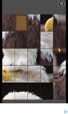 slide puzzle birds - Screenshot 2