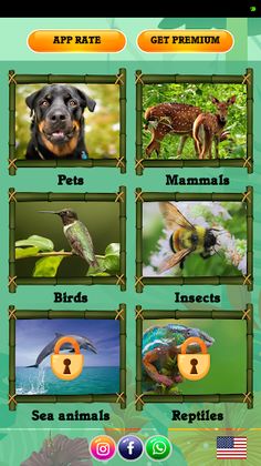 Animals Game for Kids - Screenshot 1