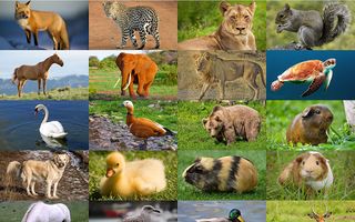 Jigsaw Puzzles Simple - Screenshot 3