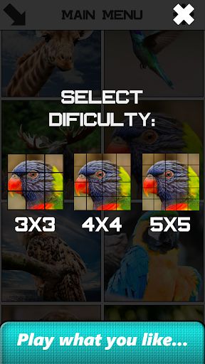 Animal Slide Puzzle - Screenshot 3