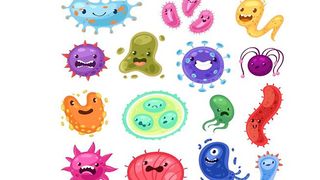 Winni the Poo Virus Hunter - Screenshot 2