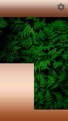 Puzzle Picture - Screenshot 1