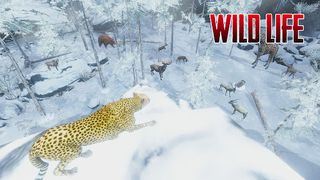 The Cheetah - Animal Simulator - Screenshot 2